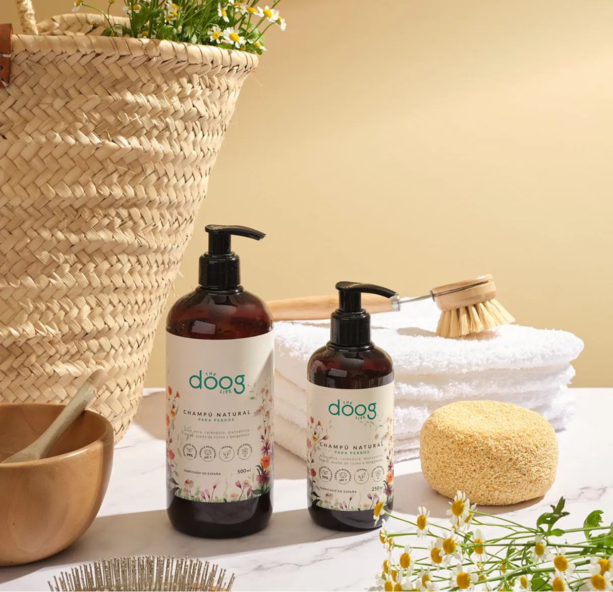 Success story: The Doog Life