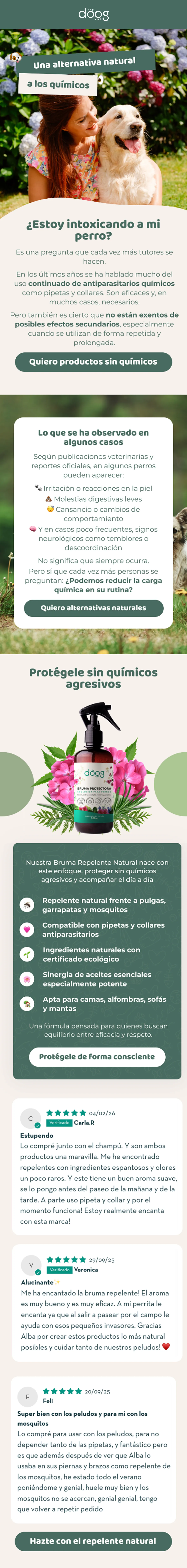 Diseño de email
